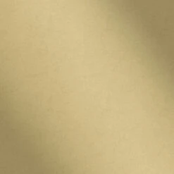 Boutique Vliesbehang Kalm Goud 33-343