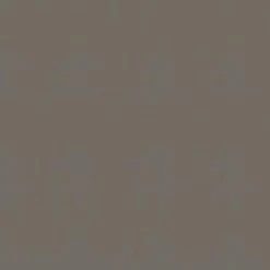 Superfresco Easy Vliesbehang Lynn Bruin 105954