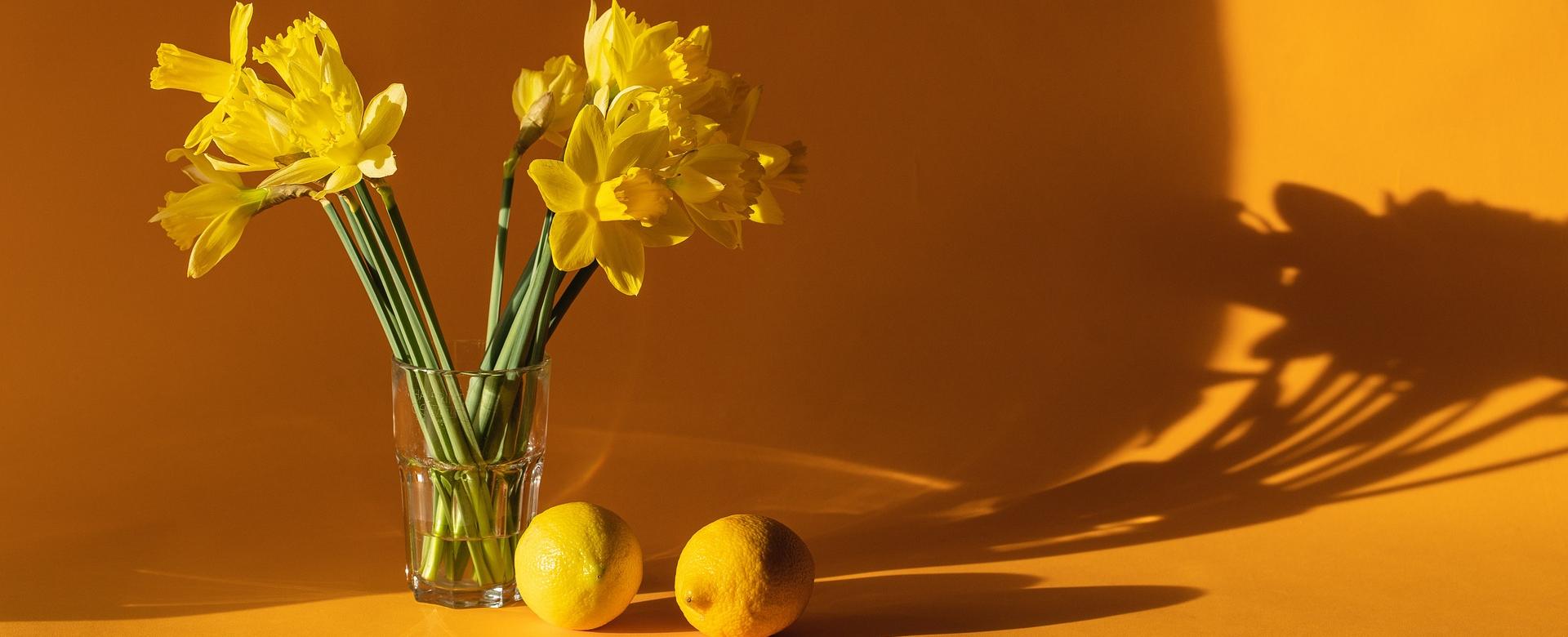 Thuisbehangwinkel 26 Thuisbehangwinkel -Thuisbehangwinkel daffodils 6523446 1920