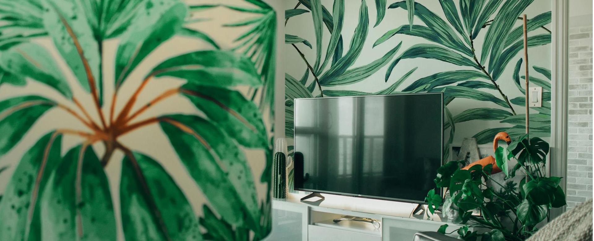 Thuisbehangwinkel 9 Thuisbehangwinkel -Thuisbehangwinkel pexels designecologist 1248582